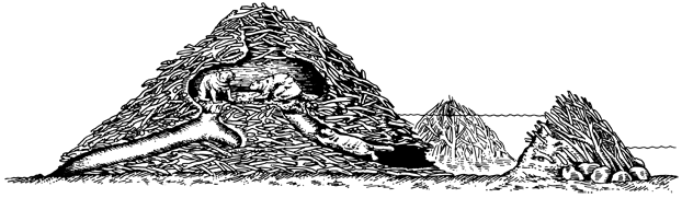 Biberbau